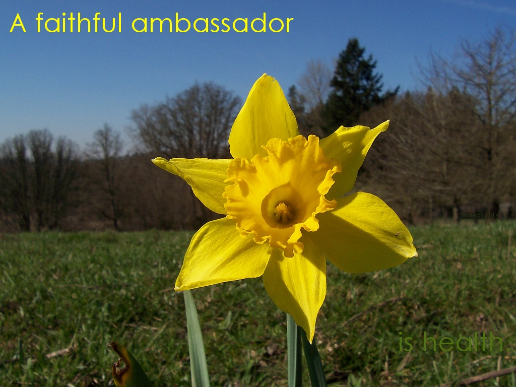 A faithful ambassador (Proverbs 13:17)