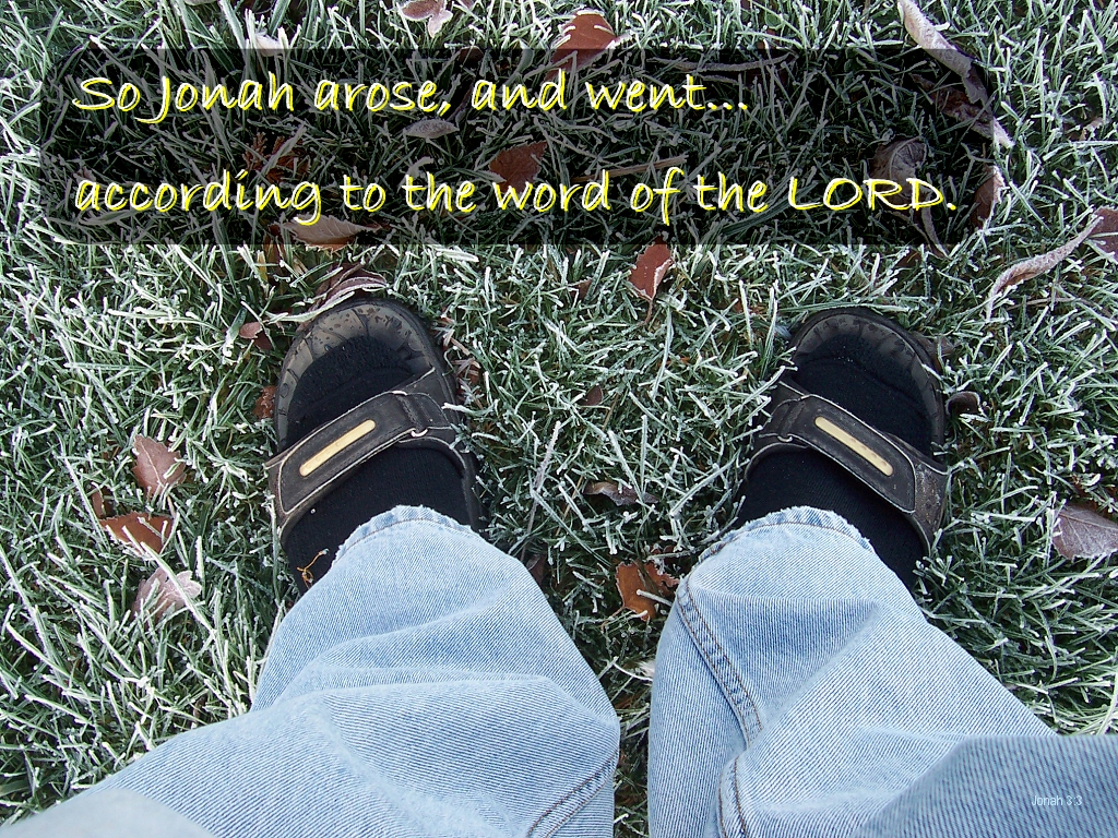 So Jonah arose, and went...according to the word of the LORD (Jonah 3:3).