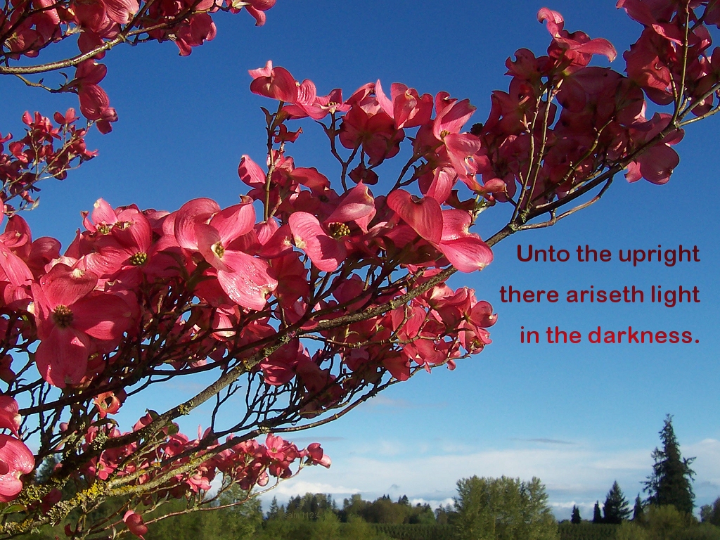 Unto the upright there ariseth light in the darkness (Psalm 112:4)