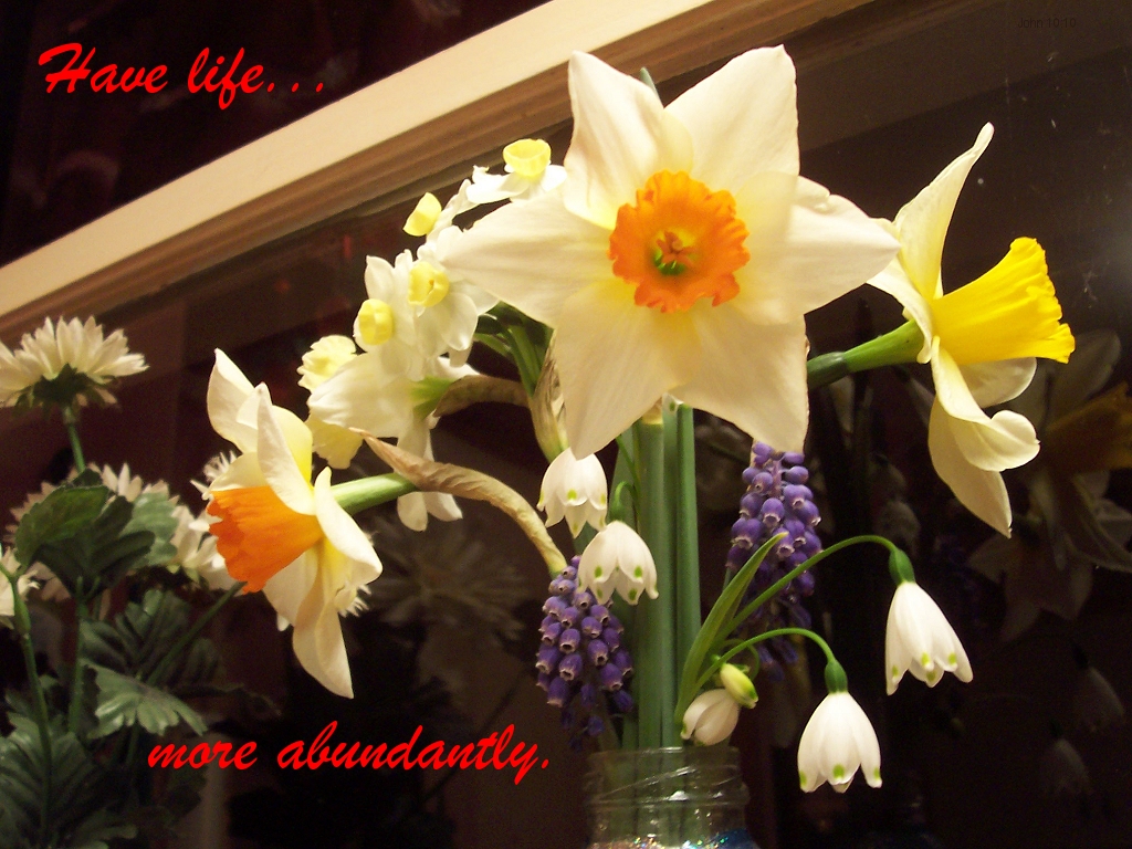 Have life...more abundantly (John 10:10)