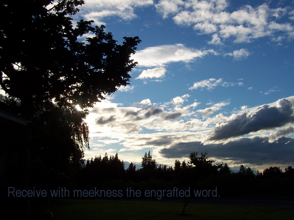 Received with meekness the engrated word (James 1:21)