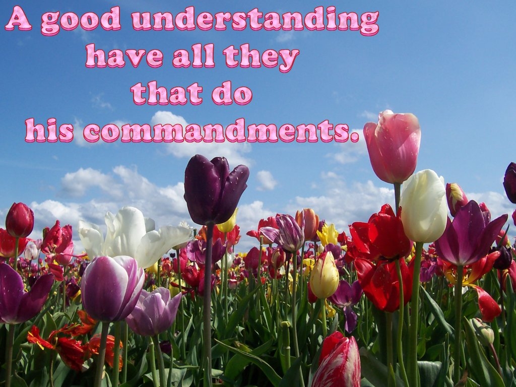 A good understanding have all they that do his commandments (Psalm 111:10)